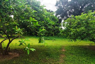 8 ac Land at Vipingo - 2