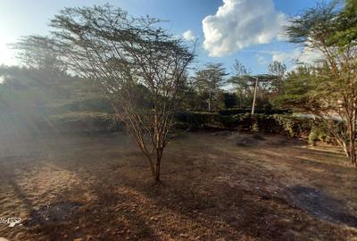 4 Bed Villa with En Suite at Masai Lodge - 3