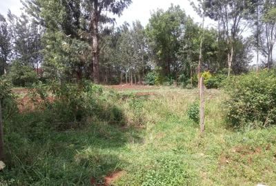 0.5 ac Residential Land in Kiambu Road - 2