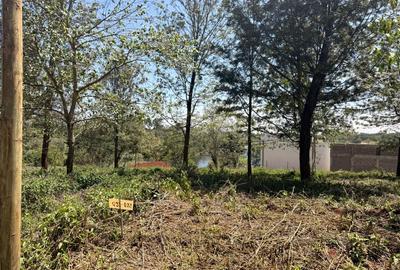 Residential Land in Ruiru - 3