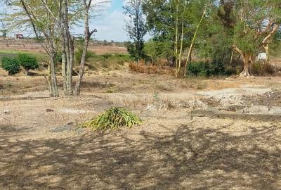 39 ac Land in Malaa