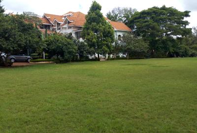 Serviced 2 Bed Apartment with En Suite in Nyari