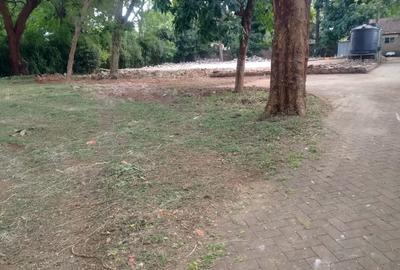 0.8 ac Land at Muthangari Road - 3