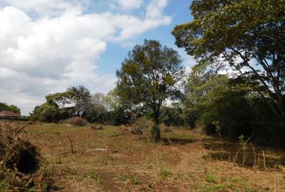 Residential Land in Karen