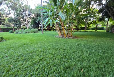 4 Bed House with En Suite in Runda