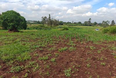 0.25 ac Land at Thika Road