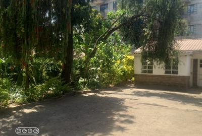 0.25 ac Commercial Property with Fibre Internet at Opposite Tuskys - 4