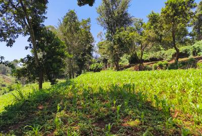 Land in Kitisuru