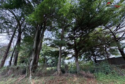 Land at Kinanda Road - 2