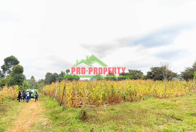 0.05 ha Residential Land in Kikuyu Town - 4