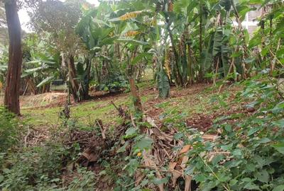 2 ac Land in Karen Hardy - 3