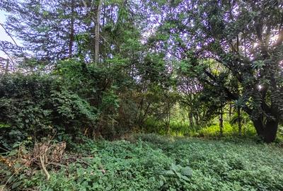 Residential Land at Ruaka Road