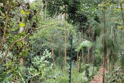 4 Bed Townhouse with En Suite at Westlands - 3