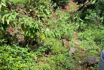 0.725 ac Residential Land in General Mathenge