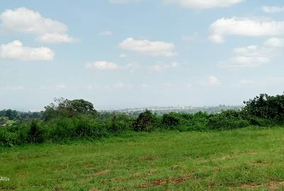 Residential Land in Runda - 3