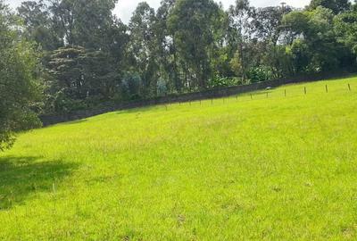 0.25 ac Land in Runda - 3