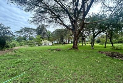 25 ac Land in Naivasha - 3