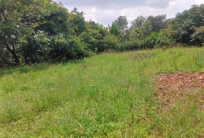 Land at Tree Ln