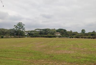 37,030 m² Land in Ruiru