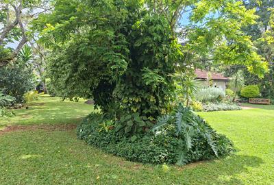 4 Bed House with En Suite at Off Ruaka Rd - 4