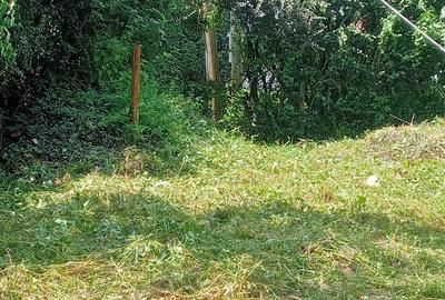 2 ac Land in Karen - 2