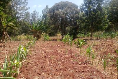 Land at Ololua Ridge - 2