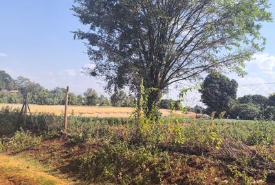 Land at Muhuri Road - 2