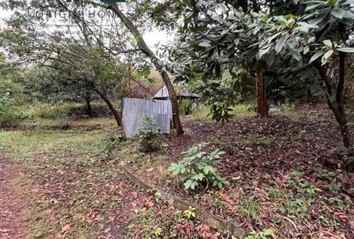 0.8 ac Land at Rhapta Road - 2