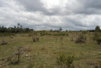Land at Nturukuma