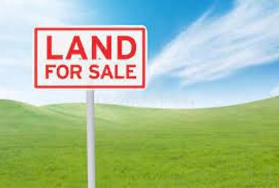 0.5 ac Land in Lavington
