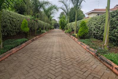 2 Bed House with Backup Generator in Runda - 4