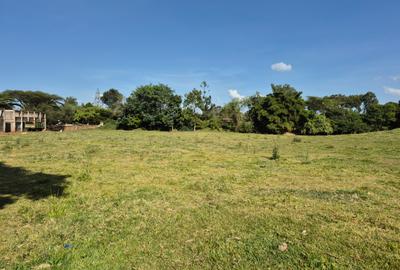 Land in Muthaiga