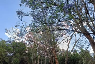 Residential Land at Kiukenda - 2