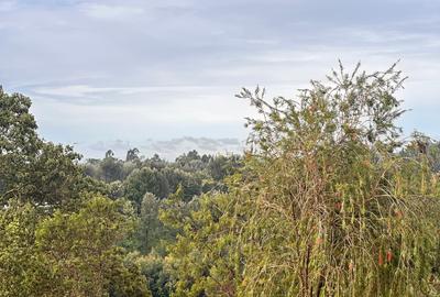 Land at Tigoni