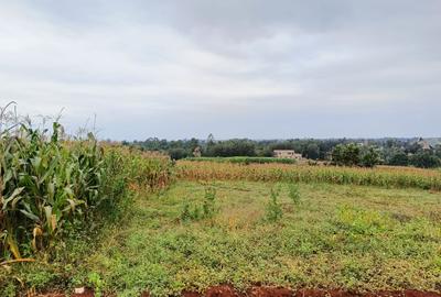 Residential Land at Kiora Estate