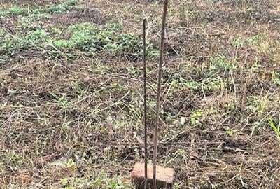 Land at Kamiti -Ruiru Road