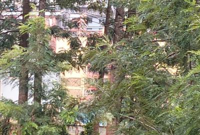 Land at Kirawa Road - 3