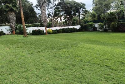 4 Bed Townhouse with En Suite in Runda - 3