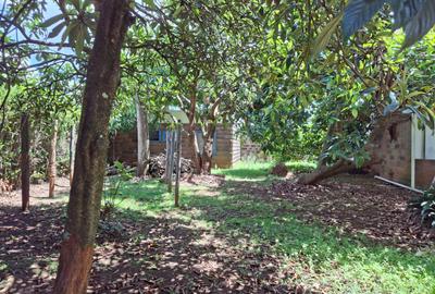 5 Bed House with En Suite at Karen Plains - 4