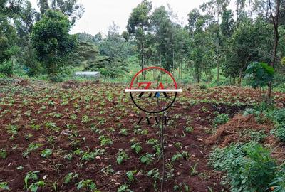 0.125 ac Land at Off Ruaka Banana Road - 2