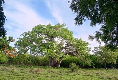 90 ac Residential Land at Kuruwitu-Vipingo
