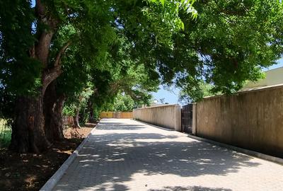 1,000 ft² Land at Kuruwitu - 3