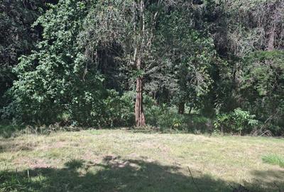 0.75 ac Residential Land at Off Naivasha Avenue - 2