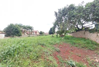 Residential Land at Ruaka Road