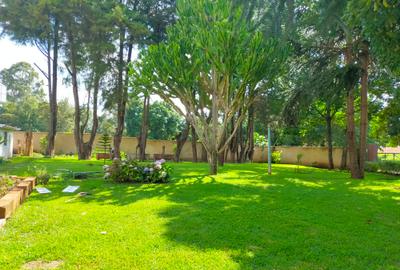 5 Bed House with En Suite in Tigoni - 2