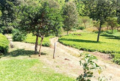 2 ac Land at Redhill-Kentmere Rd - 3