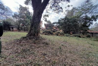 0.9 ac Land at Donyo Sabuk Road