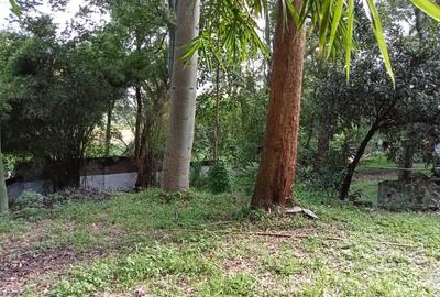 Land in Muthaiga - 4