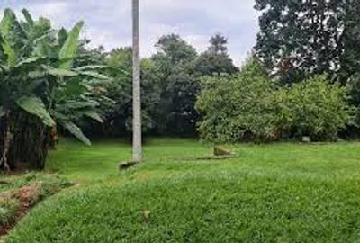 Commercial Land in Kilimani