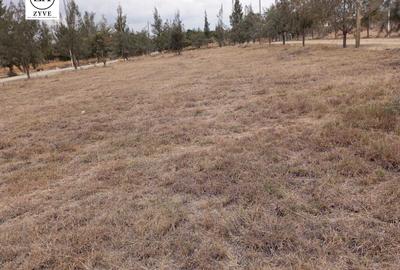 0.125 ac Land at Acacia Crest Estate